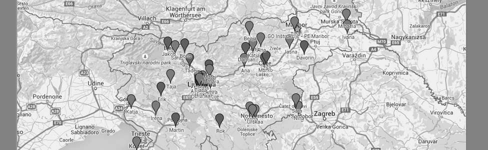 inštrukcije matematike celje